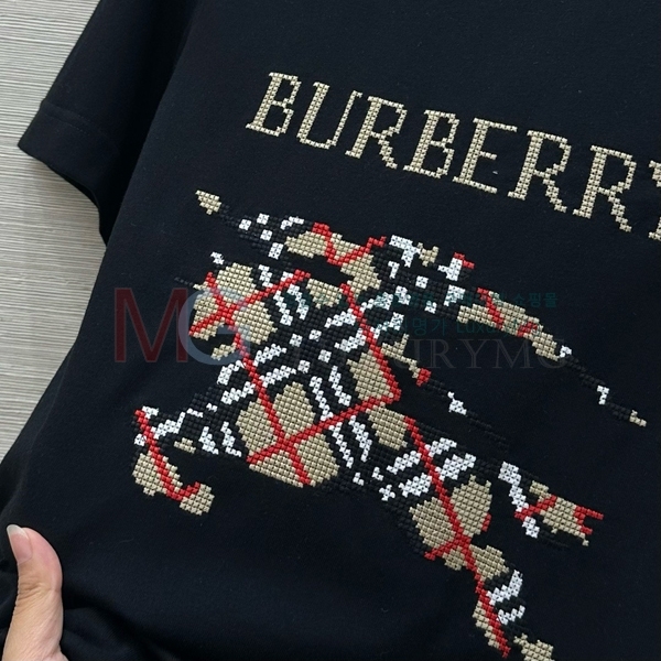    Ƽ BUR64668-2