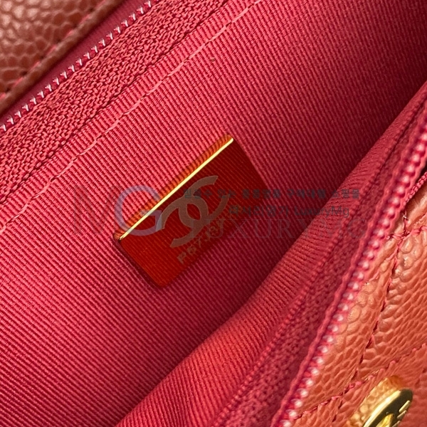 * ü WOC ũν AP0250-204