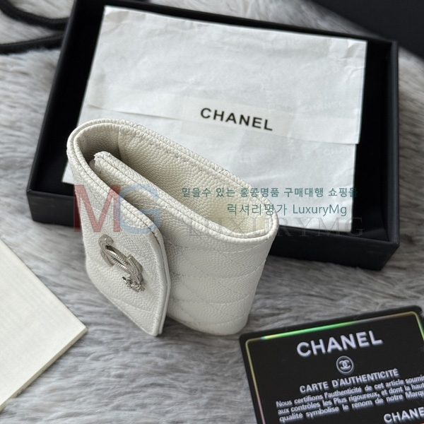 ��* ���� ī������ AP4812-1