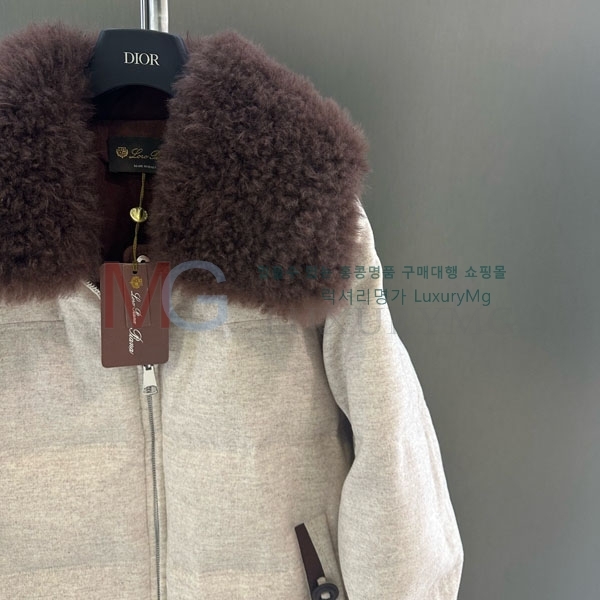 ���� �η�**�� �ٿ� �е� LP434064-2