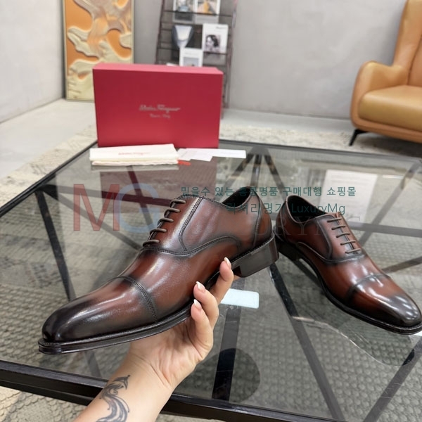 ���� �䷹���� ���� FO360222-1