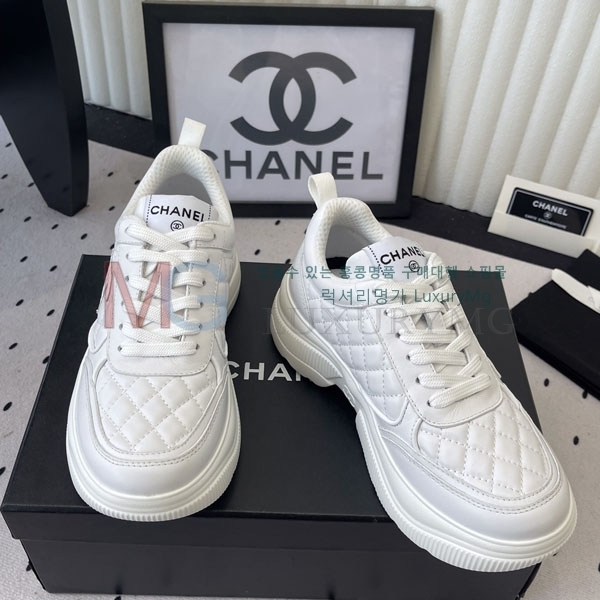 ���� ��* ����Ŀ�� AF6600262