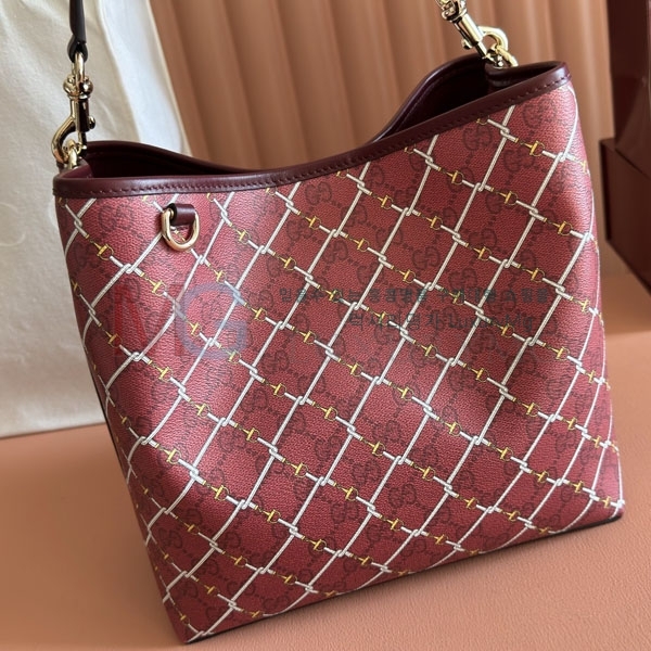 ���� GG ������ ���� ��Ŷ�� 815103-21