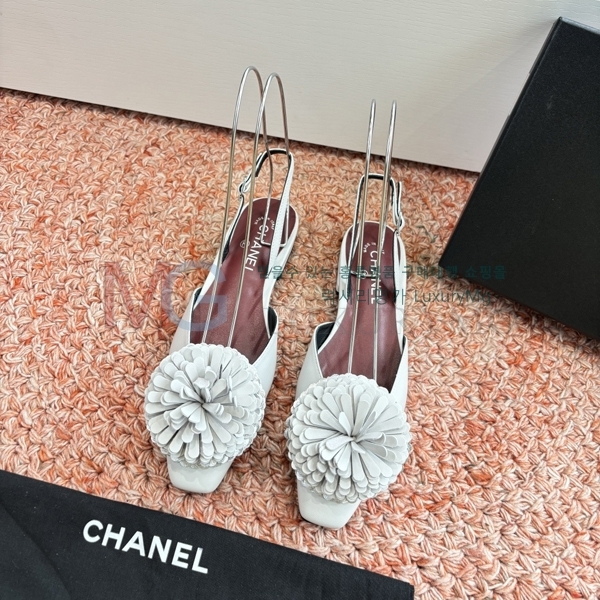 ���� ��* ������ ���� R7T137231-1